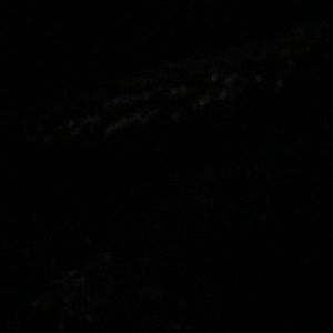 Meet your Posher, Garrett